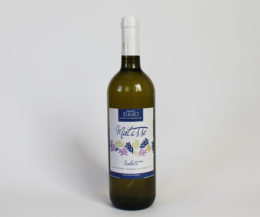 Vino bianco frizzante