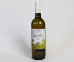 fantasie del vigneto bianco